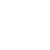 No Image Found